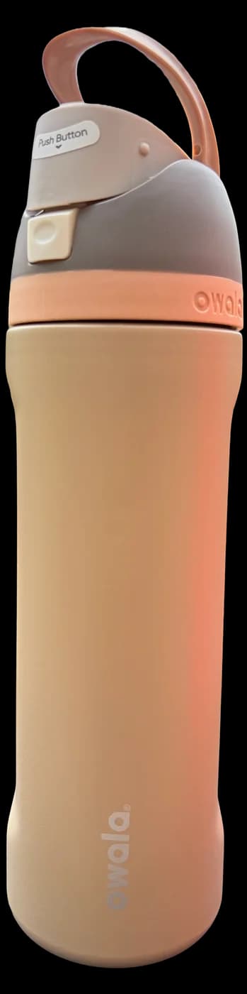 Owala 24oz FreeSip in Down to Earth