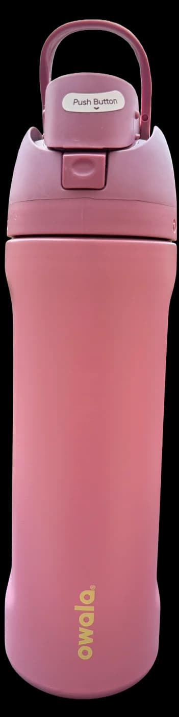 Owala 24oz FreeSip in Purple