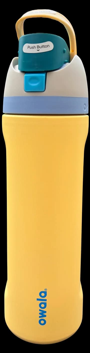 Owala 24oz FreeSip in Sunnydaze
